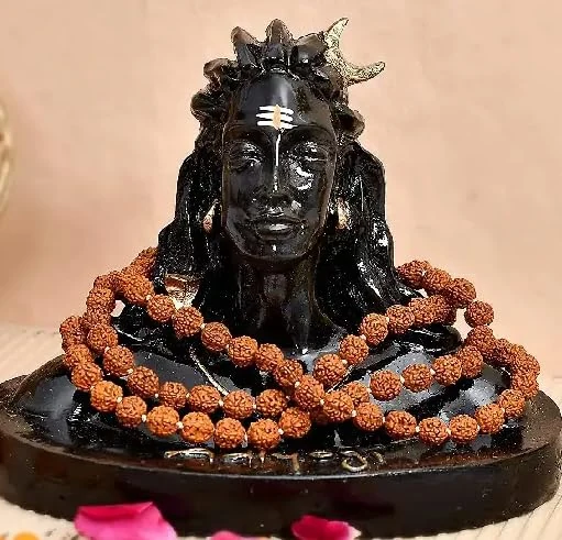 Rudraksha mala, 5 mm, 108 beads, picture 4